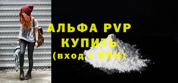 спайс Богданович
