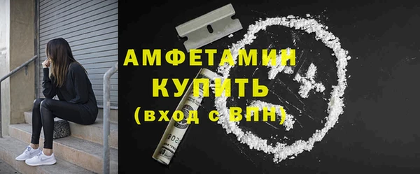 индика Покачи