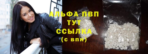 стаф Богородицк