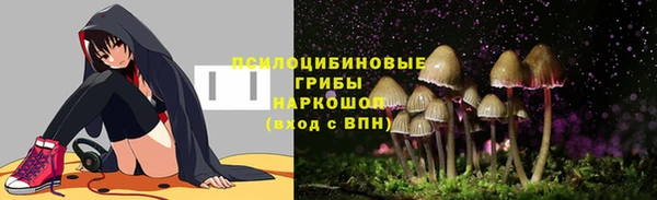 индика Покачи