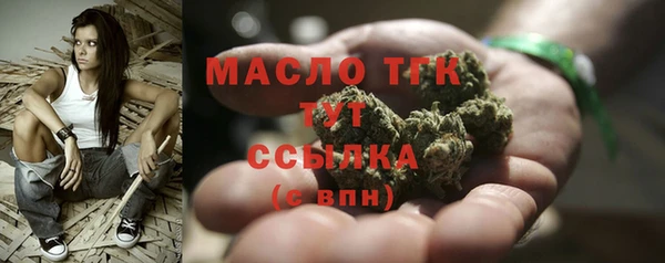 индика Покачи