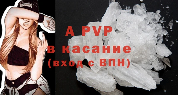 индика Покачи