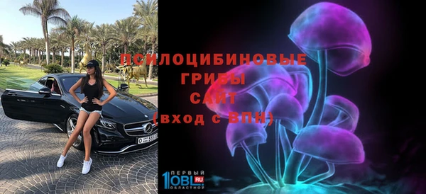 индика Покачи