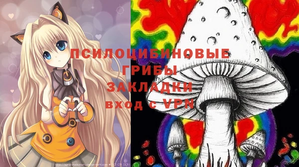 гашик Переславль-Залесский