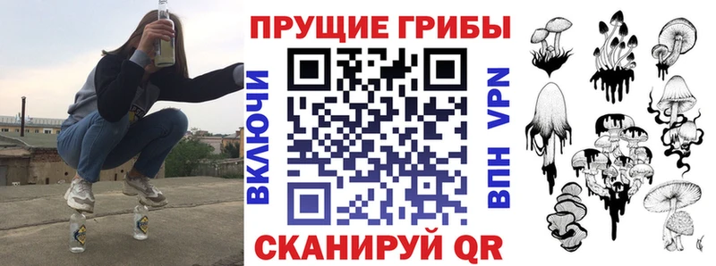 Псилоцибиновые грибы Psilocybe купить наркоту Бузулук