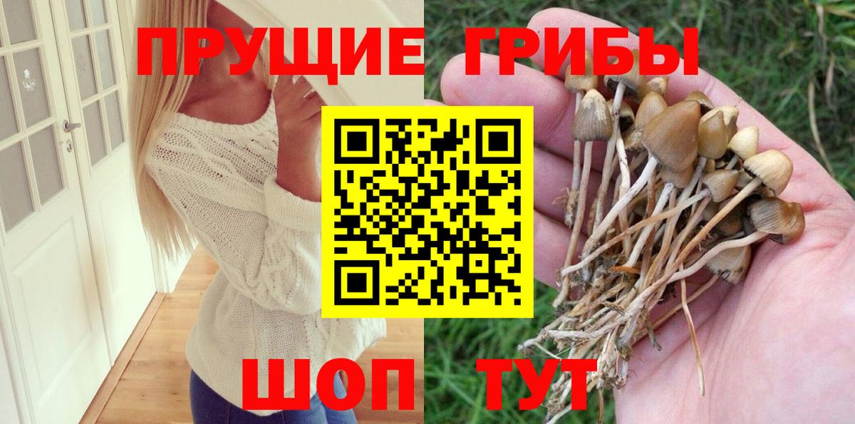 хочу   Бузулук  Галлюциногенные грибы мицелий 