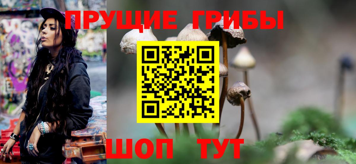 Псилоцибиновые грибы прущие грибы Бузулук