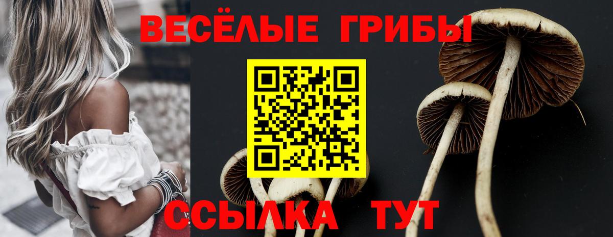 Лсд 25  ЭКСТАЗИ  Кокаин  Вход с VPN  Купить наркотики  Бошки Шишки  Бузулук  Мефедрон   ГАШИШ 